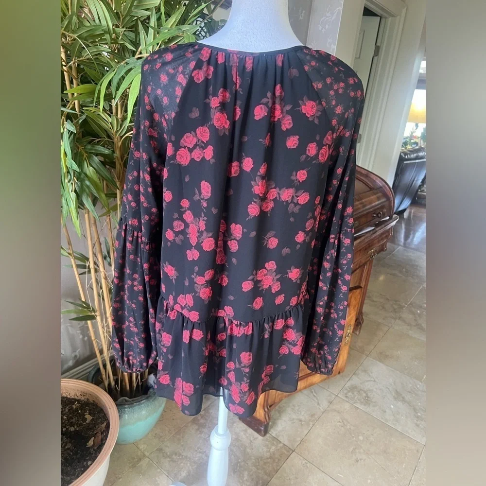 Michael Kors, ladies, long sleeve, sheer blouse, size, small excellent condition